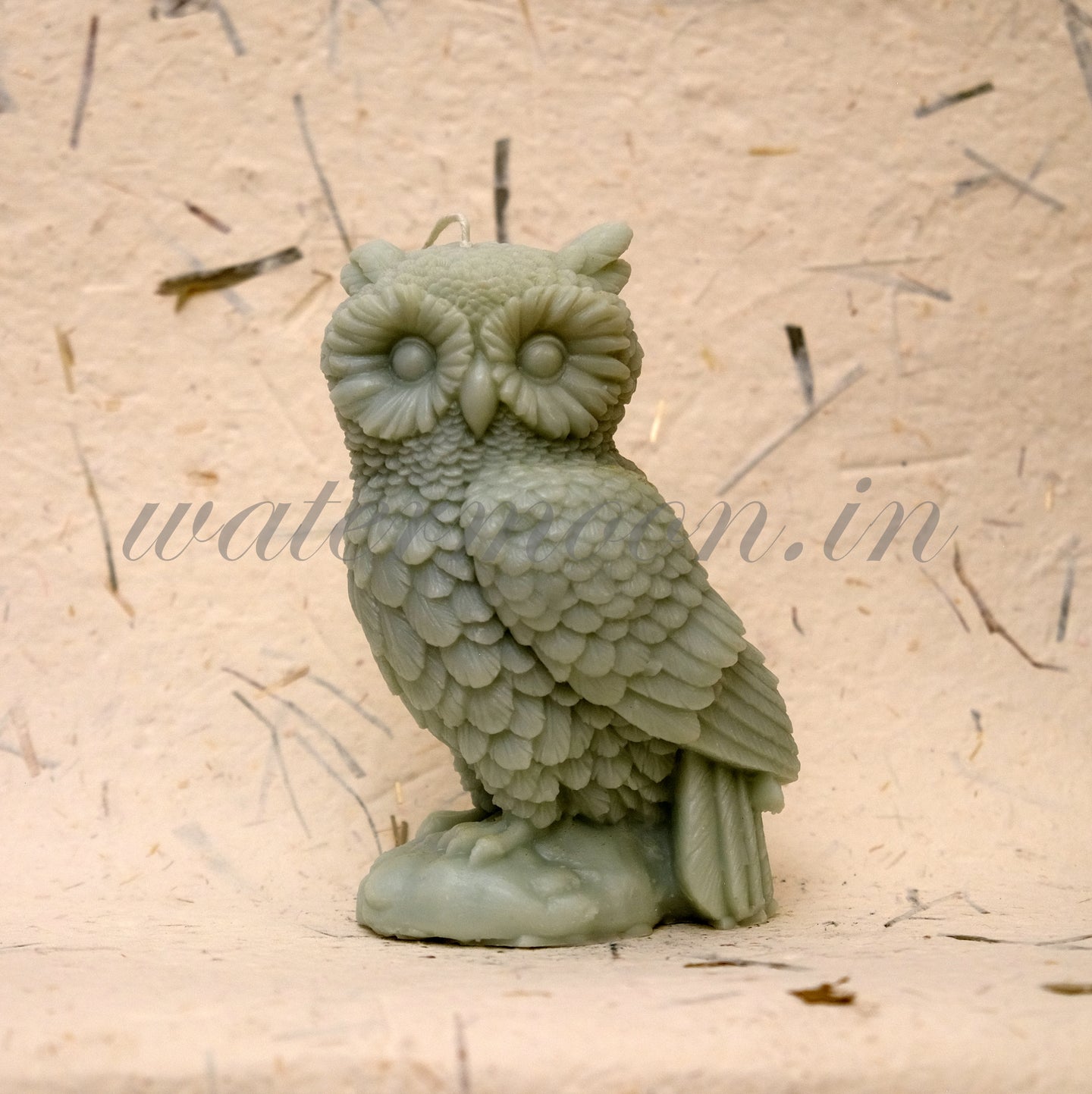 Owls